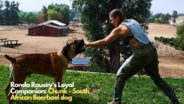 Ronda Rousey with Chunk - South African Boerboel dog